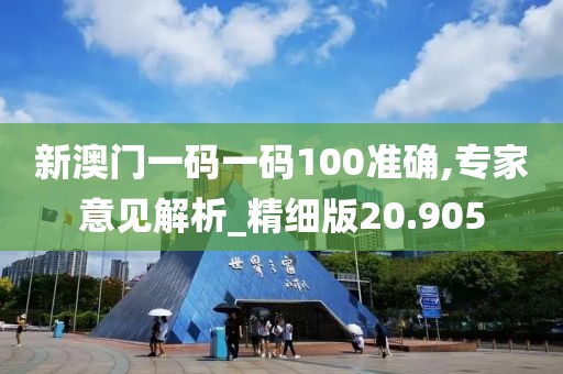 新澳门一码一码100准确,专家意见解析_精细版20.905