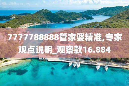 7777788888管家婆精准,专家观点说明_观察款16.884