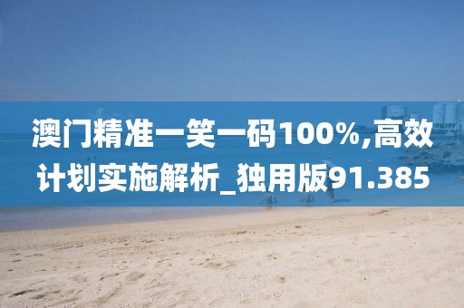 澳门精准一笑一码100%,高效计划实施解析_独用版91.385
