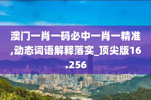 澳门一肖一码必中一肖一精准,动态词语解释落实_顶尖版16.256