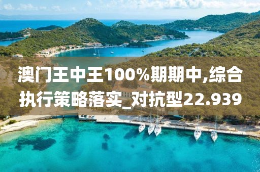 澳门王中王100%期期中,综合执行策略落实_对抗型22.939