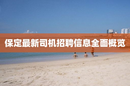 保定最新司机招聘信息全面概览
