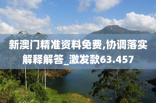 新澳门精准资料免费,协调落实解释解答_激发款63.457