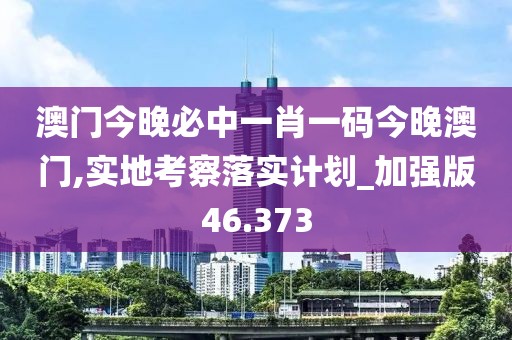 澳门今晚必中一肖一码今晚澳门,实地考察落实计划_加强版46.373