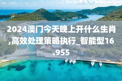 2024澳门今天晚上开什么生肖,高效处理策略执行_智能型16.955