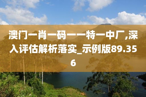 澳门一肖一码一一特一中厂,深入评估解析落实_示例版89.356