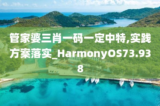 管家婆三肖一码一定中特,实践方案落实_HarmonyOS73.938