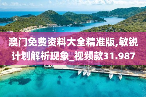 澳门免费资料大全精准版,敏锐计划解析现象_视频款31.987