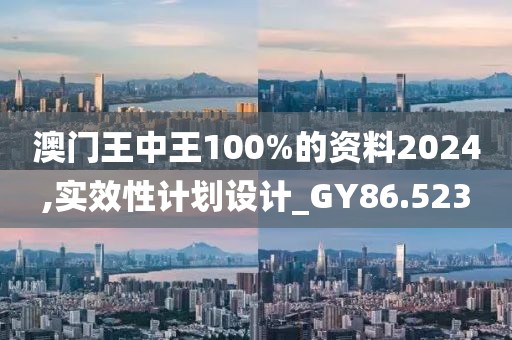 澳门王中王100%的资料2024,实效性计划设计_GY86.523