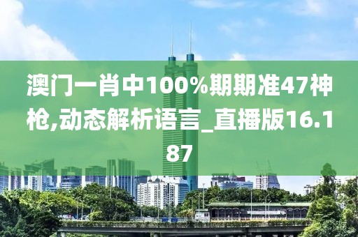 澳门一肖中100%期期准47神枪,动态解析语言_直播版16.187