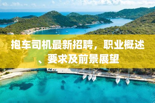 抱车司机最新招聘，职业概述、要求及前景展望