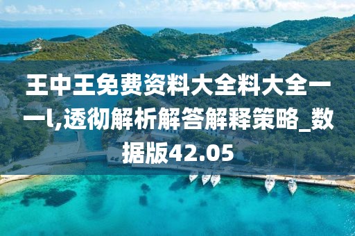 王中王免费资料大全料大全一一l,透彻解析解答解释策略_数据版42.05