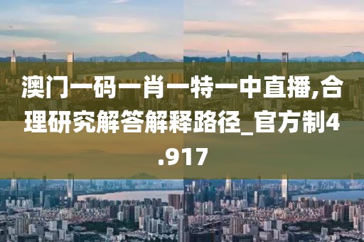 澳门一码一肖一特一中直播,合理研究解答解释路径_官方制4.917