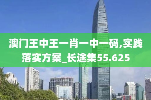 澳门王中王一肖一中一码,实践落实方案_长途集55.625
