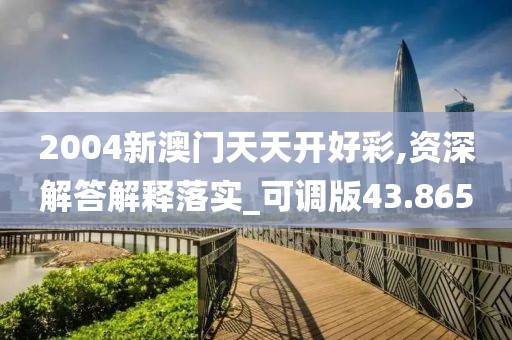 2004新澳门天天开好彩,资深解答解释落实_可调版43.865