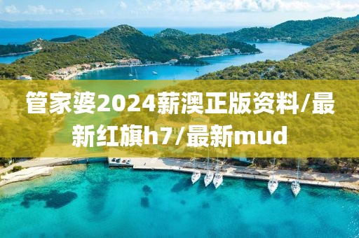 管家婆2024薪澳正版资料/最新红旗h7/最新mud