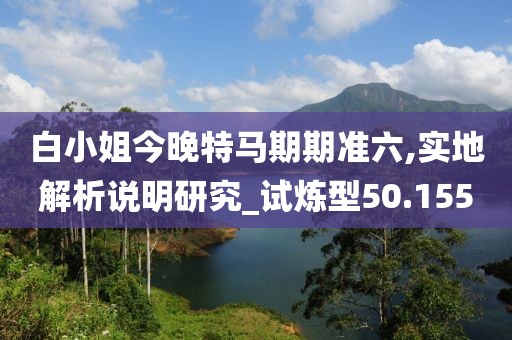 白小姐今晚特马期期准六,实地解析说明研究_试炼型50.155