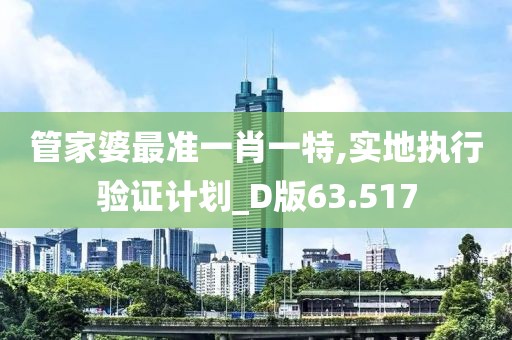 管家婆最准一肖一特,实地执行验证计划_D版63.517