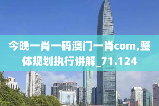 今晚一肖一码澳门一肖com,整体规划执行讲解_71.124