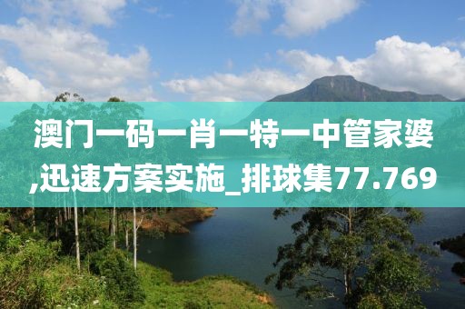 澳门一码一肖一特一中管家婆,迅速方案实施_排球集77.769