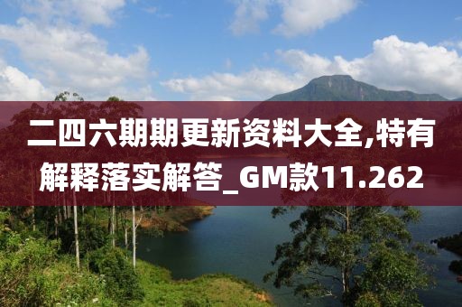 二四六期期更新资料大全,特有解释落实解答_GM款11.262