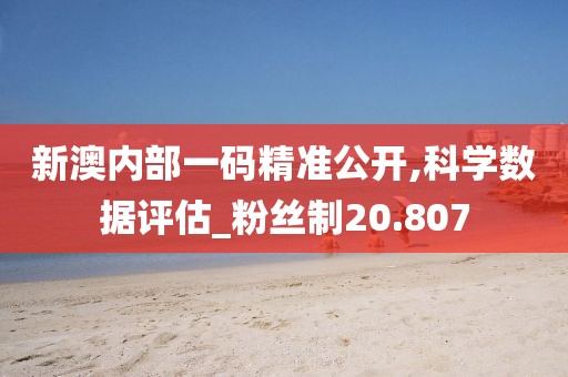 新澳内部一码精准公开,科学数据评估_粉丝制20.807