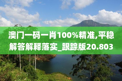 澳门一码一肖100%精准,平稳解答解释落实_跟踪版20.803