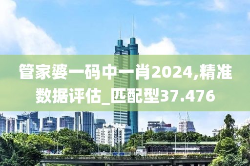 管家婆一码中一肖2024,精准数据评估_匹配型37.476