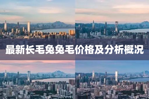 最新长毛兔兔毛价格及分析概况