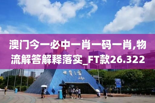 澳门今一必中一肖一码一肖,物流解答解释落实_FT款26.322