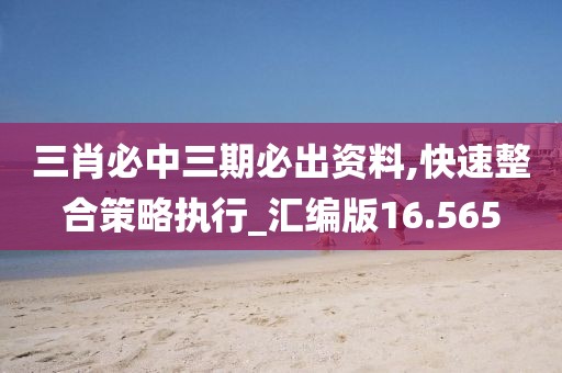三肖必中三期必出资料,快速整合策略执行_汇编版16.565