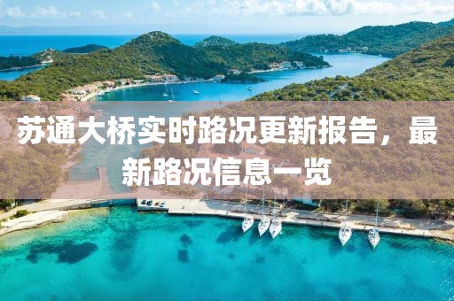 苏通大桥实时路况更新报告，最新路况信息一览