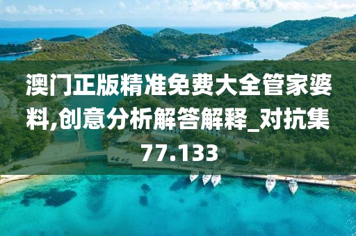 澳门正版精准免费大全管家婆料,创意分析解答解释_对抗集77.133
