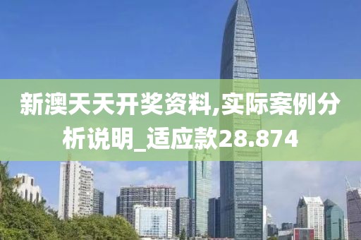 新澳天天开奖资料,实际案例分析说明_适应款28.874