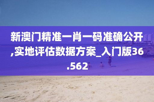 新澳门精准一肖一码准确公开,实地评估数据方案_入门版36.562