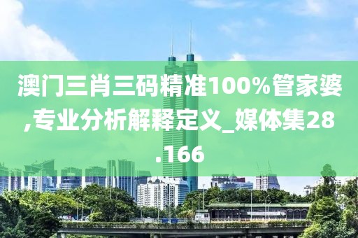 澳门三肖三码精准100%管家婆,专业分析解释定义_媒体集28.166