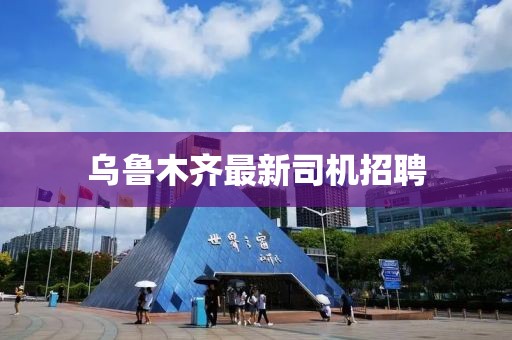 乌鲁木齐最新司机招聘