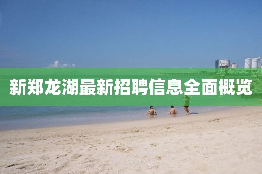 新郑龙湖最新招聘信息全面概览