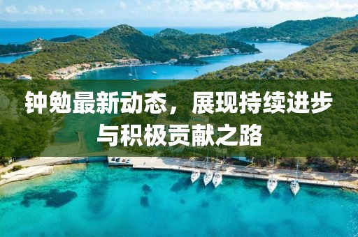 钟勉最新动态，展现持续进步与积极贡献之路
