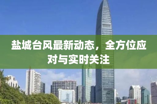盐城台风最新动态，全方位应对与实时关注