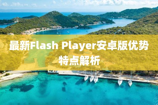 最新Flash Player安卓版优势特点解析