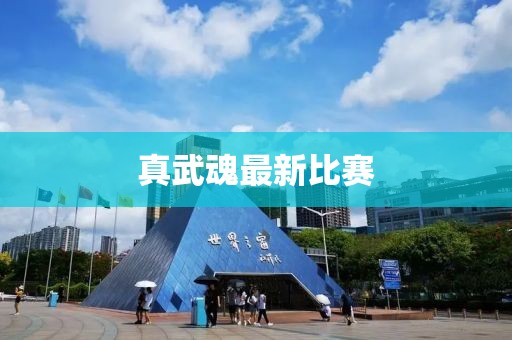 真武魂最新比赛