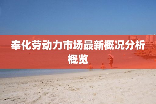奉化劳动力市场最新概况分析概览