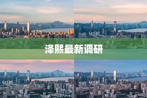 泽熙最新调研