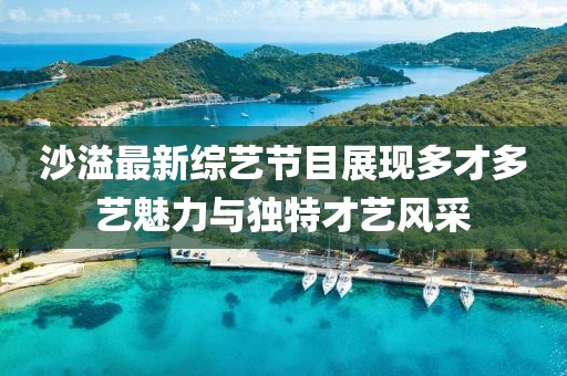 沙溢最新综艺节目展现多才多艺魅力与独特才艺风采