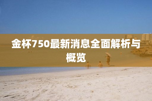 金杯750最新消息全面解析与概览