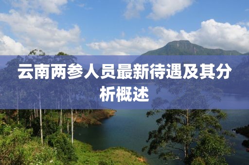 云南两参人员最新待遇及其分析概述