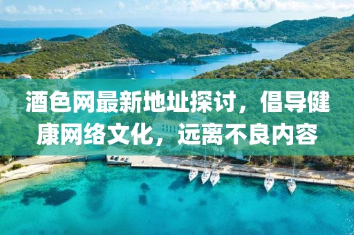 酒色网最新地址探讨，倡导健康网络文化，远离不良内容