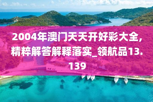 2004年澳门天天开好彩大全,精粹解答解释落实_领航品13.139