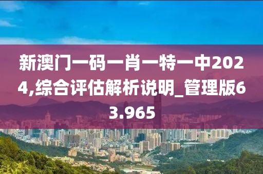 新澳门一码一肖一特一中2024,综合评估解析说明_管理版63.965